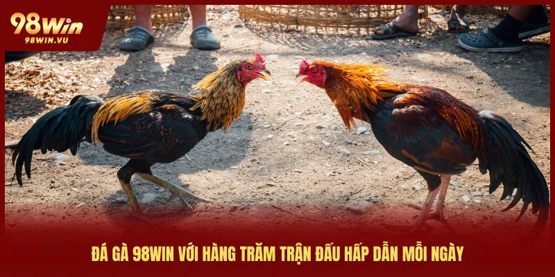 da-ga-98win-voi-hang-tram-tran-dau